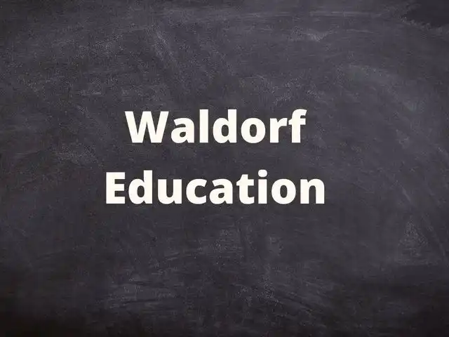 Waldorf Education Featured
