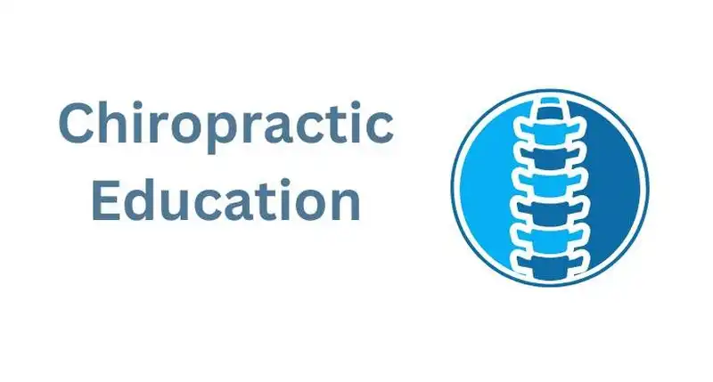 chiropractic education